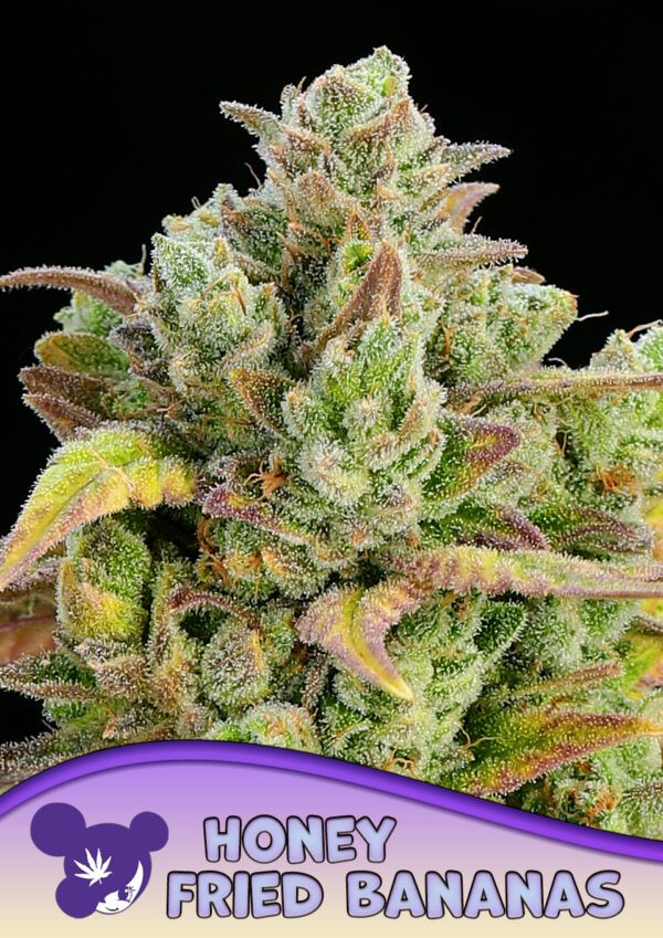 Anesia Seeds Honey Fried Bananas