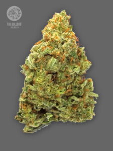 The Bulldog Seeds TB Lemon Haze Auto