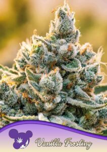 Anesia Seeds Vanilla Frosting