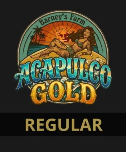 Barneys Farm Acapulpo Gold