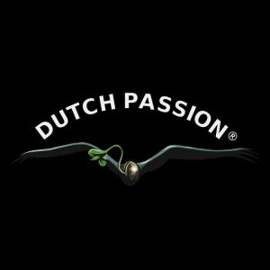 Dutch Passion