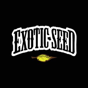 Exotic Seeds