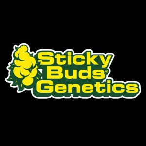 Sticky Buds