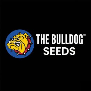 The Bulldog Seeds