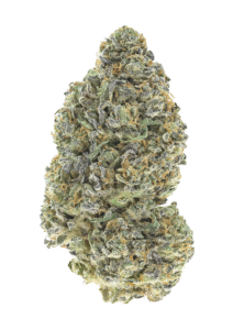 420 Fast Buds Garlic Mint Sherbet