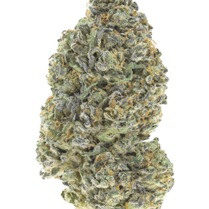 420 Fast Buds Garlic Mint Sherbet
