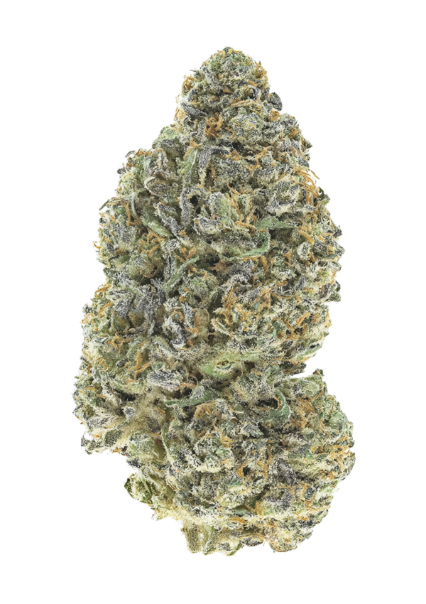 420 Fast Buds Garlic Mint Sherbet