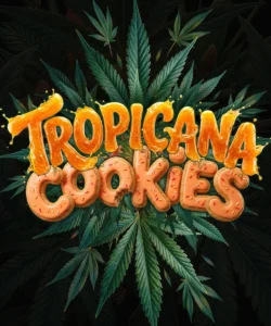 Barneys Farm Tropicana Cookies AUTO