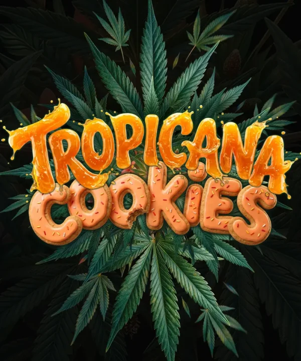 Barneys Farm Tropicana Cookies AUTO
