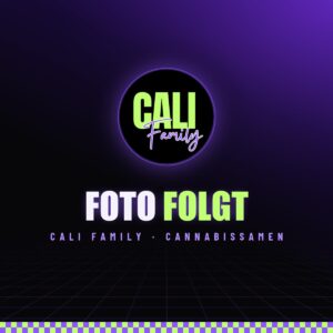 Cali Family – Foto folgt