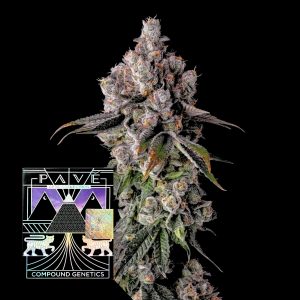 90 Proof Compound Genetics