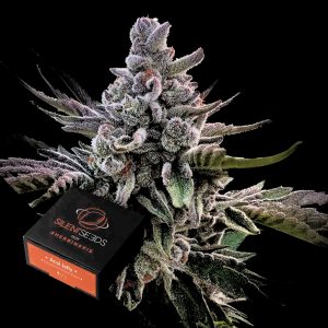 Acai Jelly Silent Seeds