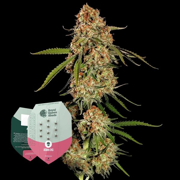 Royal Queen Seeds Alien OG