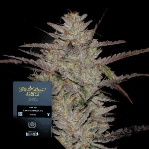Alienz Auto Green House Seeds