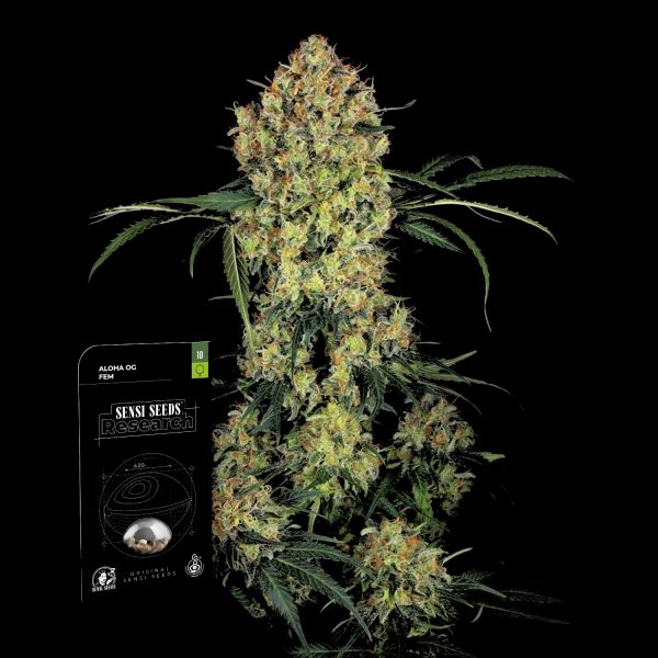 Sensi Seeds Aloha OG