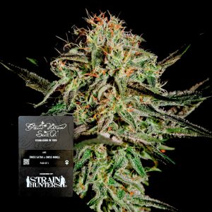 Ams Green House Seeds