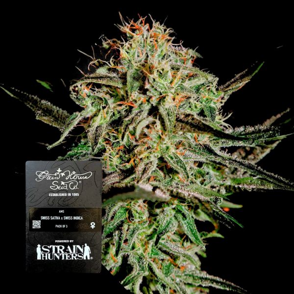 Green House Seeds A.M.S.