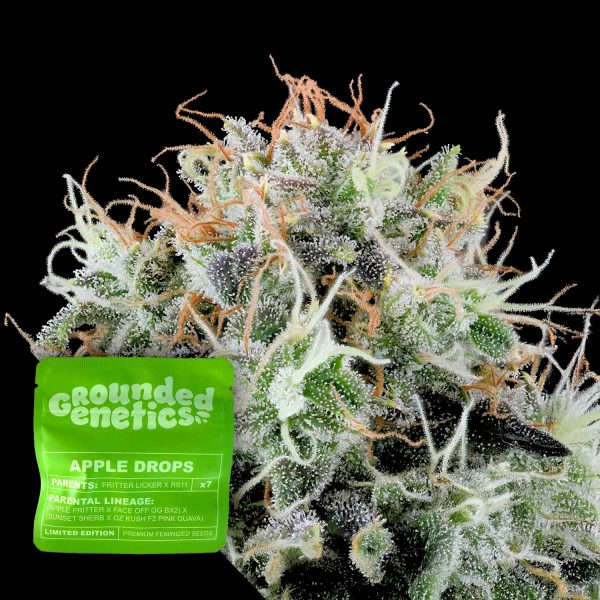 Grounded Genetics Apple Drops