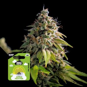 Apple Fritter Holy Hemp