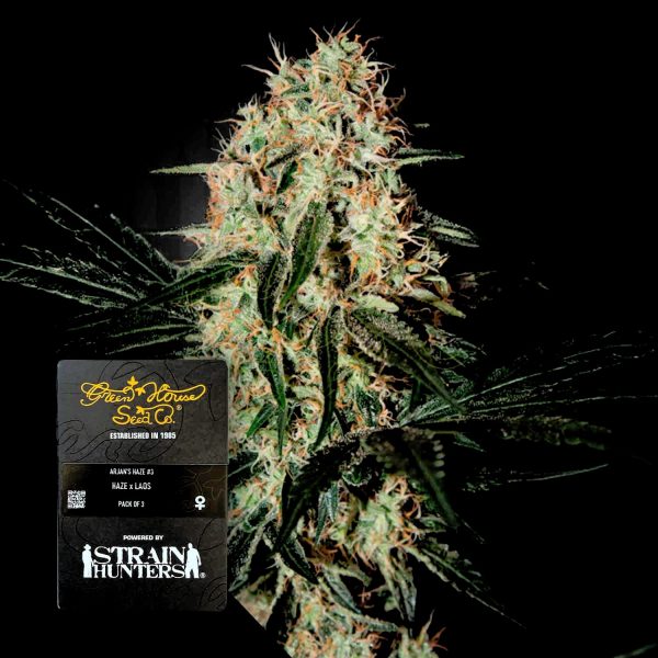 Green House Seeds Arjan’s Haze 3