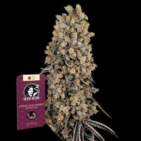 Sensi Seeds Atomic Blue Dream