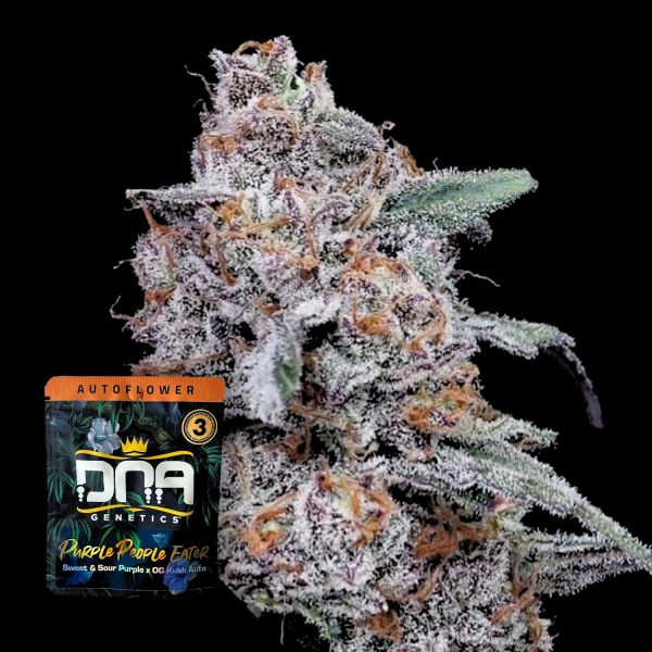 DNA Genetics AUTO Purple People Eater
