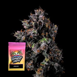 Azulcar Nine Weeks Harvest