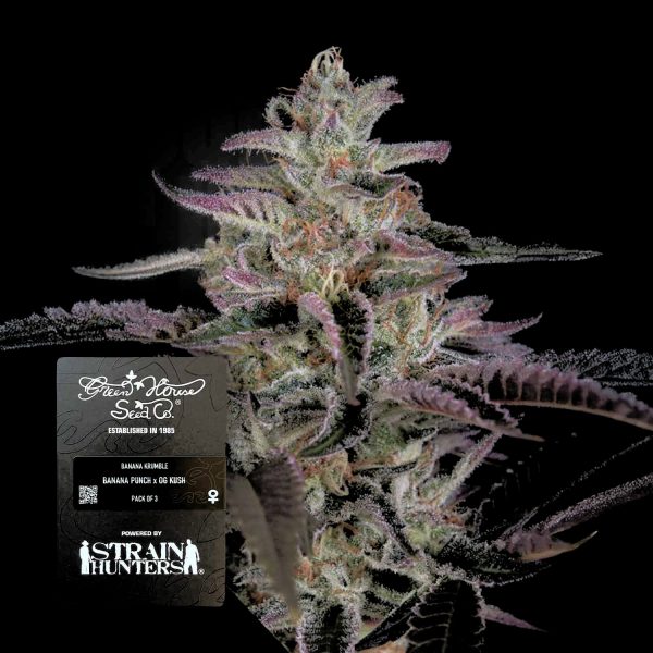 Green House Seeds Banana Krumble