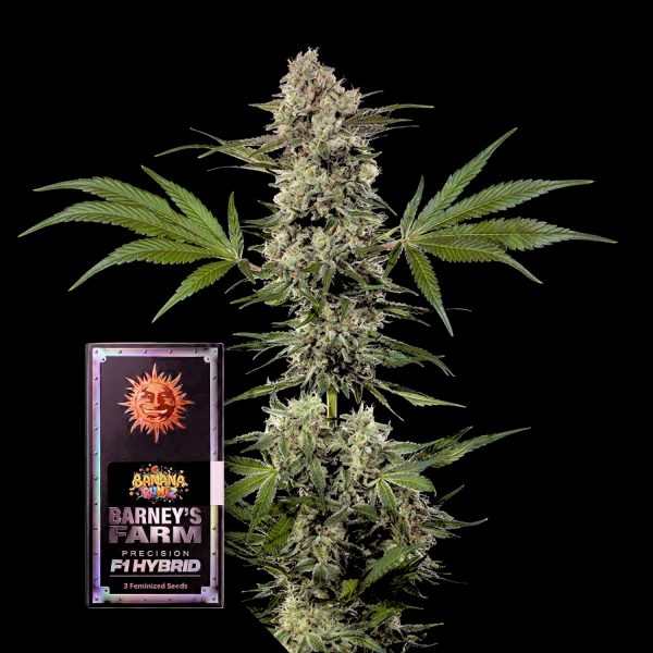 Barneys Farm Banana Runtz F1