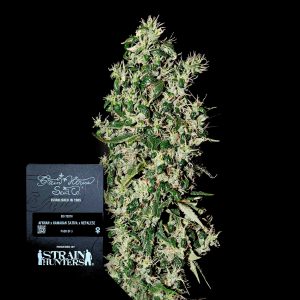 Big Tooth Green House Seeds