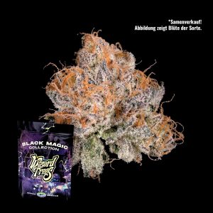 Black Light Wizard Trees