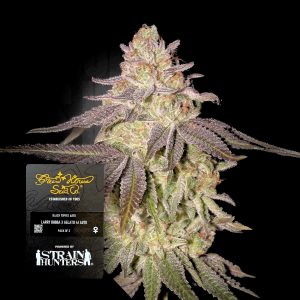 Black Toffee Auto Green House Seeds