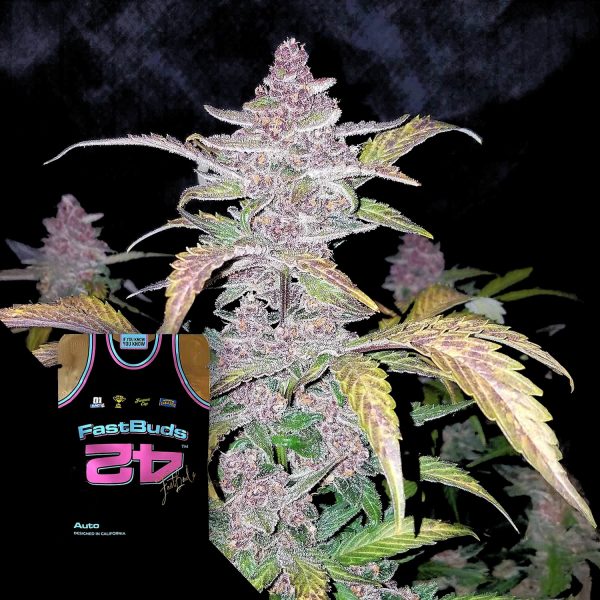 420 Fast Buds Blackberry Auto