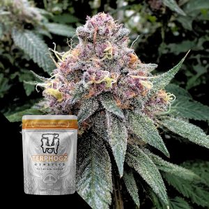 Blooberry Z Terphogz