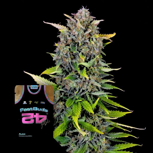 420 Fast Buds Blue Dream Auto