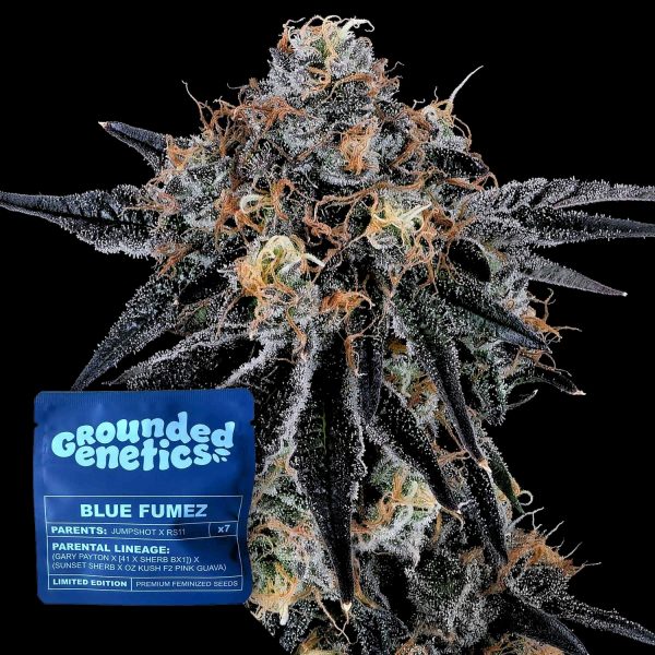 Grounded Genetics Blue Fumez