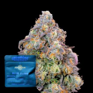 Blue Zlime Grounded Genetics