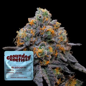 Bluzcotti Grounded Genetics