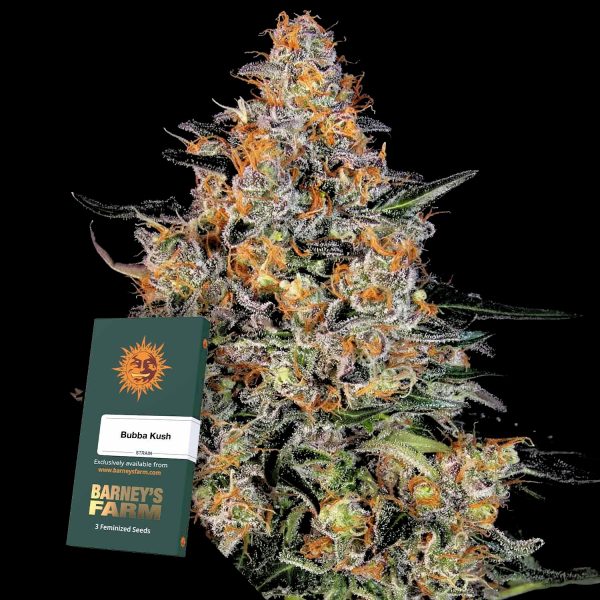 Barneys Farm Bubba Kush