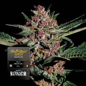 Bubba Kush Green House Seeds