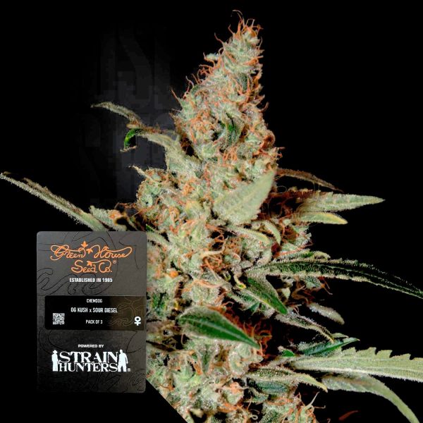 Green House Seeds Chemdog