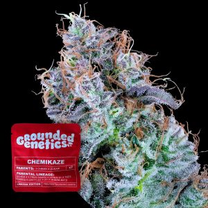 Chemikaze Grounded Genetics