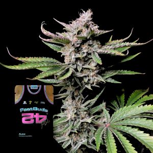 Cherry Cola Auto 420 Fast Buds