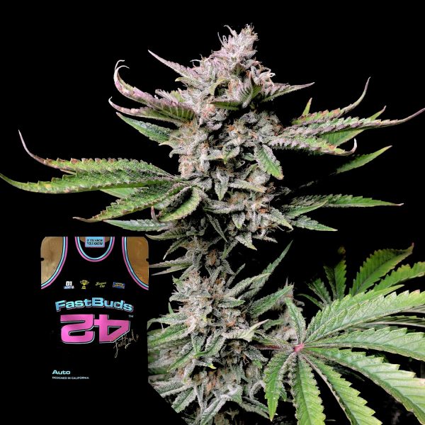 420 Fast Buds Cherry Cola Auto