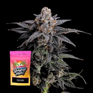 Cold Press Nine Weeks Harvest