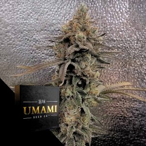 Color Theory Umami Seeds