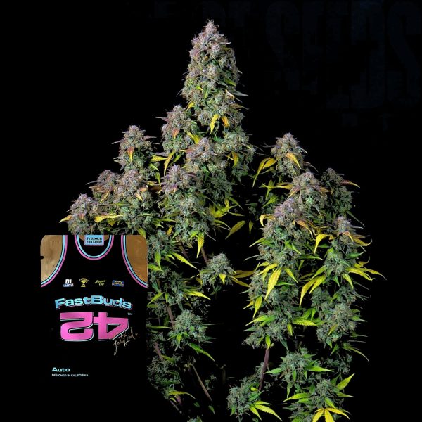 420 Fast Buds Cream Cookies Auto