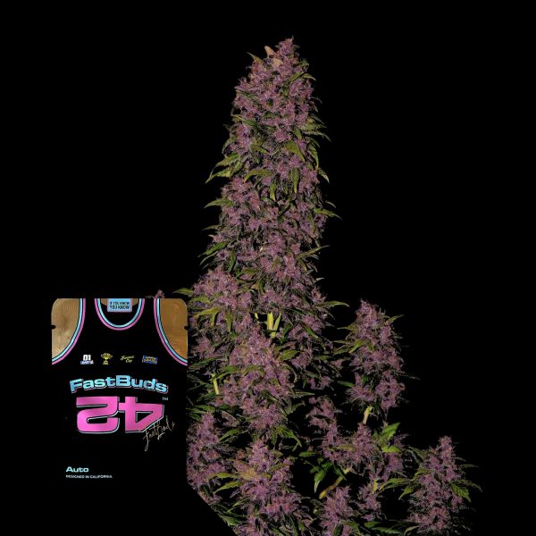 420 Fast Buds Crystal METH Auto