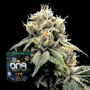 Cts Dna Genetics
