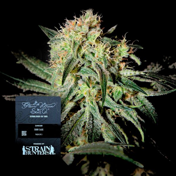 Green House Seeds Damn Sour